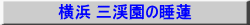l Ok̐@
