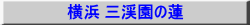 l Ok̘@