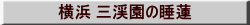 l Ok̐@