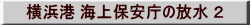 l` Cۈ̕ Q